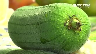 「苦絲瓜」比砒霜毒？營養師這樣說…
