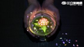 ▲茨城縣北藝術祭,參展作品《小さきものの中にある無限の宇宙に咲く花々》，作者TeamLab。（圖／茨城縣廳提供）