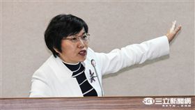 民進黨立委劉世芳　圖／記者林敬旻攝