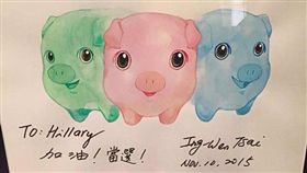 美國,總統,川普,蔡英文,押錯寶,希拉蕊,代表,顧問,佛訥,共和黨,募款,蔡正元(蔡正元臉書https://www.facebook.com/tsaichengyuan/photos/a.202295743144693.46069.184799244894343/1386635518044037/?type=3&theater)