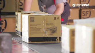 搶雙11商機　台網購單日業績漲3成