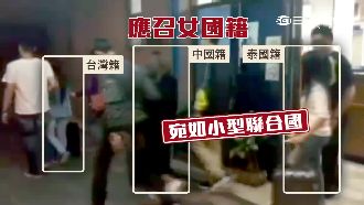 聯合國應召站被破　光棍節收入近百萬