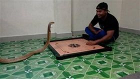 眼鏡蛇,女友,妻子,轉世,轉生,運動,桌遊,泰國,薩拉薩林,Warranan Sarasalin,北碧府,Kanchanaburi(http://www.dailymail.co.uk/news/article-3926868/You-hiss-bride-Heartbroken-man-marries-PET-SNAKE-believes-dead-girlfriend-reincarnated.html)