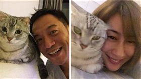 圖翻攝自臉書　張翰　林利霏