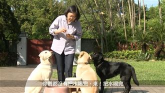影／帶導盲犬散步　小英：要用跑的吧