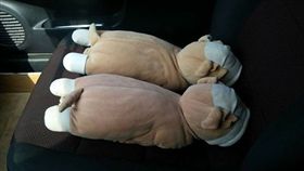 爆廢公社,爆料公社,奶瓶蓋,奶瓶,石膏,玩偶,娃娃-翻攝自爆廢公社