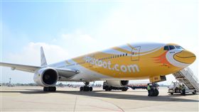 酷鳥航空。（圖／酷鳥航提供）