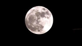 今天11月14日的月亮又圓又亮，最大超級滿月錯過再等18年。（記者邱榮吉/攝影）