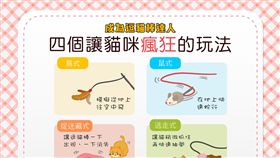 名家-毛起來
4個讓貓咪瘋狂的逗貓棒玩法