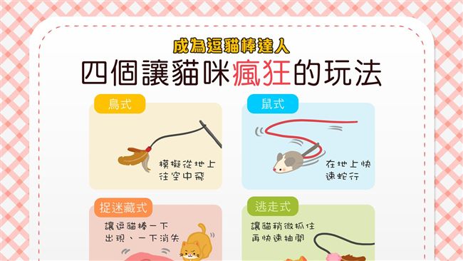 讓貓咪瘋狂吧！4個逗貓棒玩法