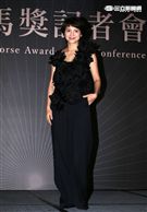 第53屆金馬獎評審李心潔。（記者邱榮吉/攝影）