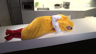 「食物睡袋」夯！舒子晨化身超萌炸蝦