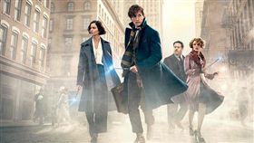 艾迪瑞德曼（Eddie Redmayne）（翻攝自《怪獸與牠們的產地》臉書）