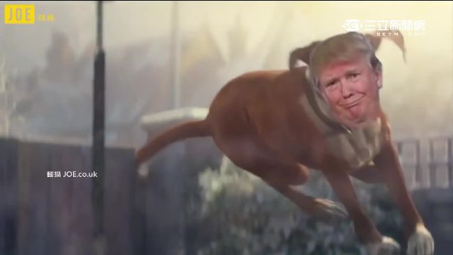 川普變彈跳犬　搶禮物害希拉蕊吃癟！