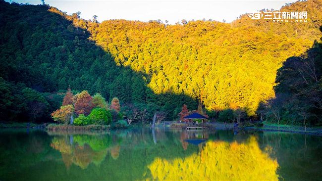 台灣阿爾卑斯山　楓紅與湖水相映成趣