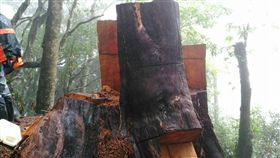 （圖／翻攝自竹東分局網站）