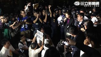 觀點/引三萬人上街!起因竟是這「三隻小貓」