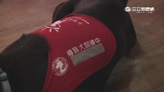 火鍋店拒導盲犬遭砲轟　店家急忙致歉