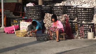 蚵寮孩子被迫長大　下課鑽蚵殼賺生計