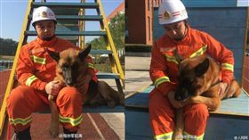 消防員,沈鵬,沈虎,搜救犬 圖／翻攝自微博