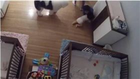 媽媽,小孩,哥哥,神救援,神秘力量,嬰兒　圖／翻攝自Biker Dad臉書專頁