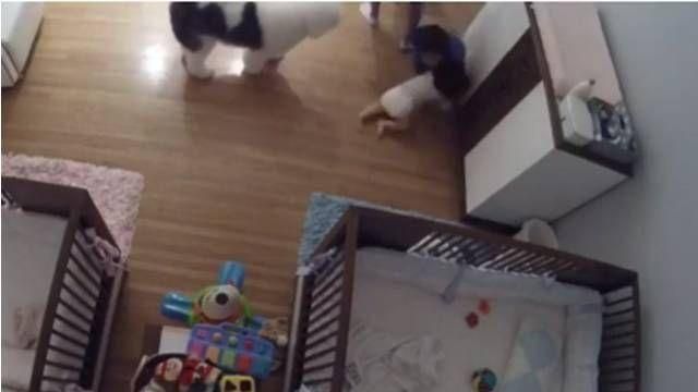 弟弟滾下床　9歲哥哥「奇蹟」式接住