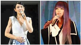 愛最大！挺婚姻平權　阿妹送演唱會門票募集同志愛情故事
圖/翻攝自劉若英、張惠妹臉書