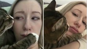 貓皇想索吻被拒。（圖／翻攝自臉書）