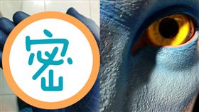 阿凡達,染髮 圖/翻攝自爆料公社