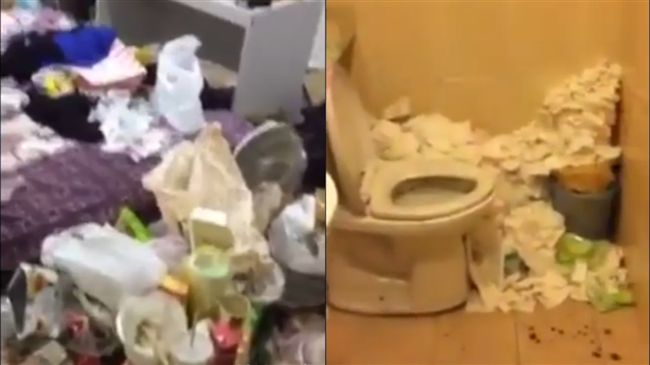 女房客欠租神隱　垃圾、廚餘堆滿屋