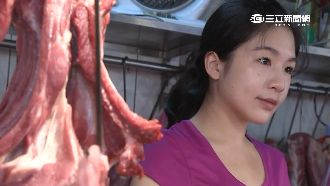 獨／傳時力出奇招！派豬肉公主選議員