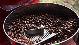 好去處！原來台北市中心就有一座咖啡休閒農園