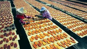 烏魚子
https://www.flickr.com/photos/kscggov/3249580219/in/photolist-9gp8JL-dpVgFg-9gp8yh-dpVism-dpV832-dpVgTW-5X9WZa-dpVit7-drjF72-drjF5n-drjF66-bfMsB4-drjNFA-aQ8h3z-AwNvS-rgHGWy-8uanto-7pUCbT-9y2t3n-nU3vAp-aQ8gLT-7KuRVi-5tPgWe-656hPv-drjJj5-bq3RHU-6MRNu4-e8BqHQ-nRYjt4-nRYgUX-nzusLv-nztUDC-nztRZQ-zEQ8R4-8EY8iy-nzuqgR