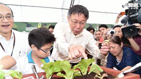 台北市長柯文哲　北市府提供