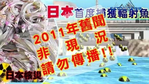 蝦密！日本首度捕獲輻射魚？...