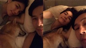 Ella懷孕與愛犬同床引戰火（合成圖／翻攝自賴斯翔微博）