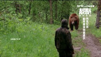 4年人熊情同父子　訓練師忍痛野放