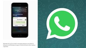 WhatsApp（圖／翻攝自WhatsApp臉書）