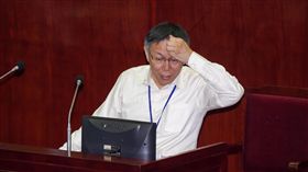 台北市議會總質詢,台北市長柯文哲　圖／記者林敬旻攝