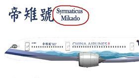 華航,空中巴士,帝雉號,字體,投票,學名　圖／翻攝自華航臉書粉絲團