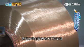 魚鱗DNA變仿生纖維　他成台灣首位