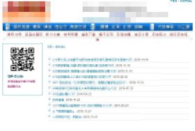 虐貓行動　旅行社　翻攝網路