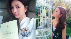 吳亞馨遭冷凍一年復出（圖／翻攝自吳亞馨臉書）