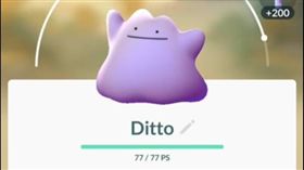 16:9
Pokemon Go,精靈寶可夢,百變怪,上線,變身
圖／翻攝自Jose Chaparro YouTube
https://www.youtube.com/watch?v=kpq2lQSWPO0