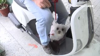 飼主騎車無鍊狗慘摔滑行　險遭車輾斃