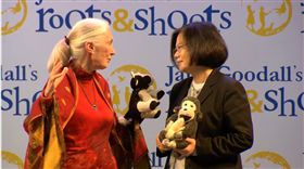 珍古德、蔡英文（圖／翻攝自直播畫面）（環境資訊中心）