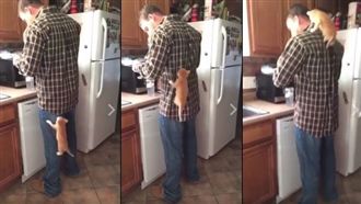 小橘貓秀爬爬功　霸氣攻頂奴才的背！