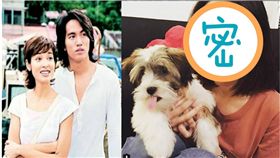 流星花園2,鄭雪兒,葉莎,美魔女,凍齡,人妻　圖／翻攝自michelle_saram IG