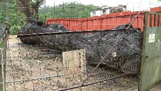 上億神木爭奪戰！直擊新光神秘倉庫