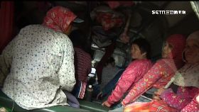 W千歲採茶車2400